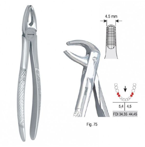 DE.750.750 Щипцы для удаления зубов (FDI 34 35 44 45)
