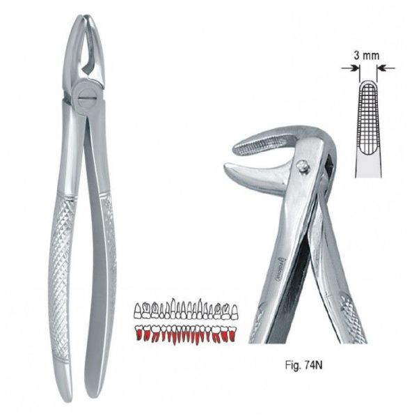 DE.750.743 Щипцы для удаления зубов